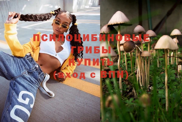 прущая мука Володарск