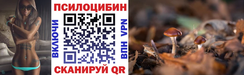 Псилоцибиновые грибы Psilocybine cubensis  Купить где  Верхний Тагил 